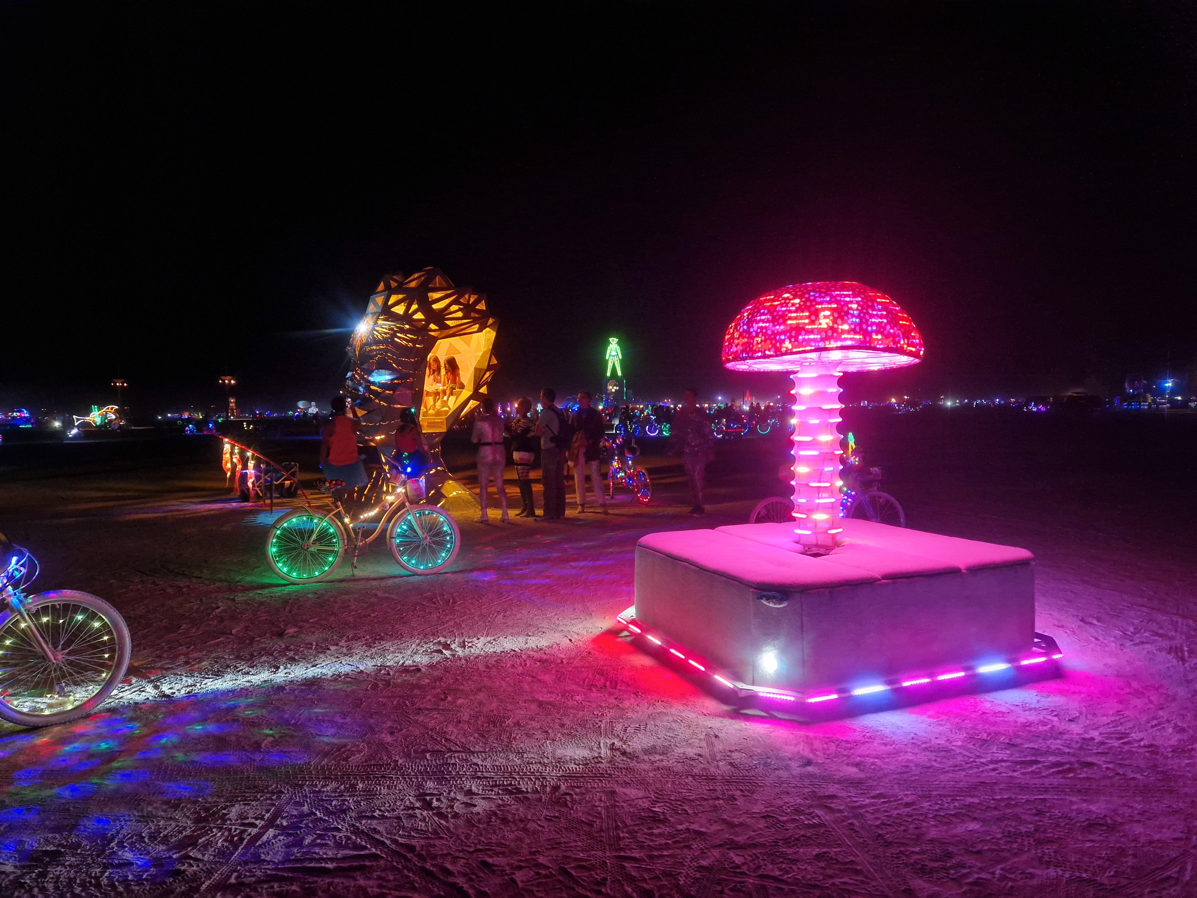 Electric Toadstool, Scott Miller 2026