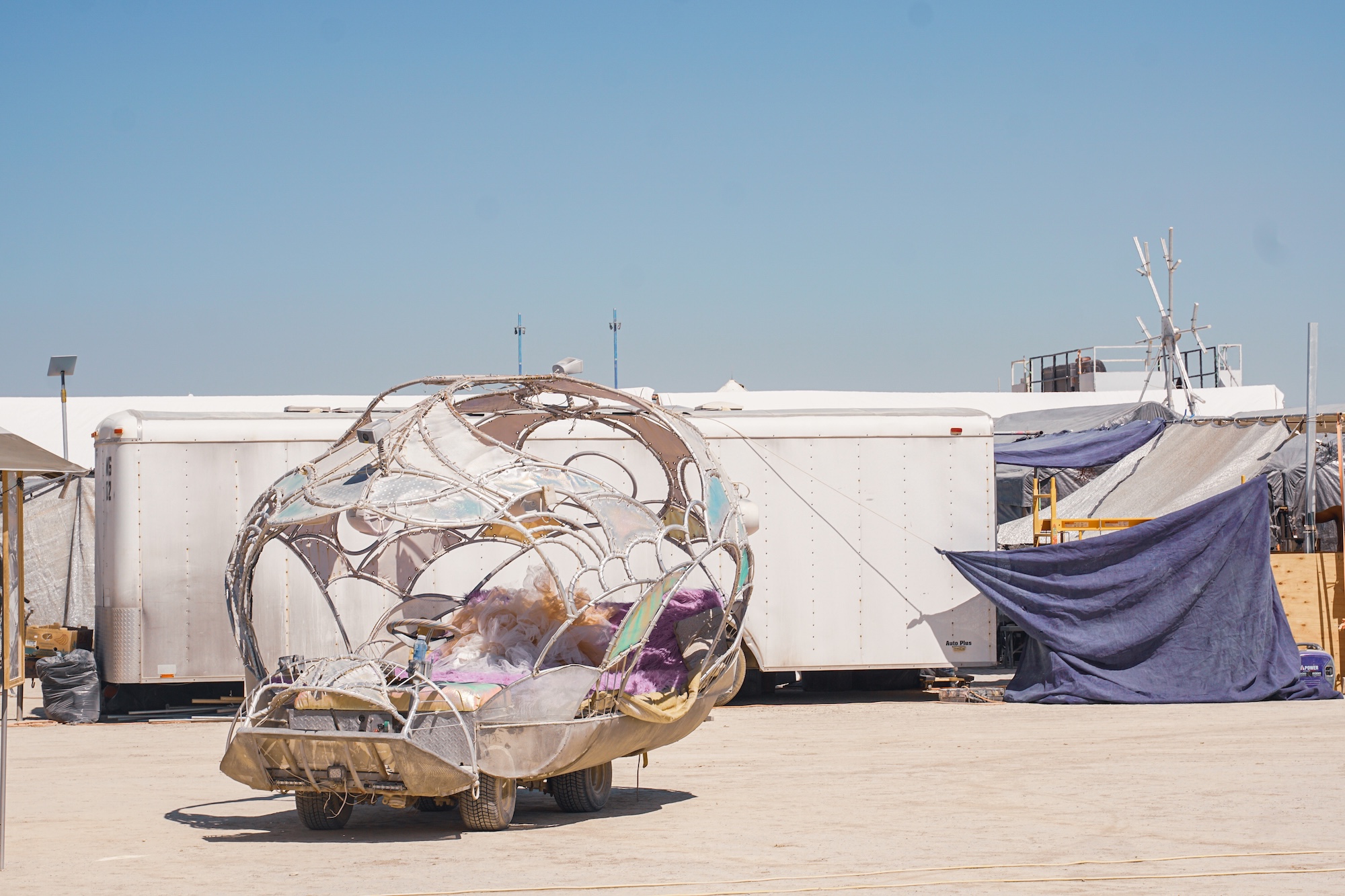 Radiolarian, Benny Parkes and Bloom Camp Crew 2026
