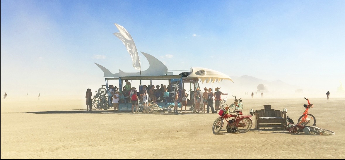 DogFish, Dog Fish art car 2026