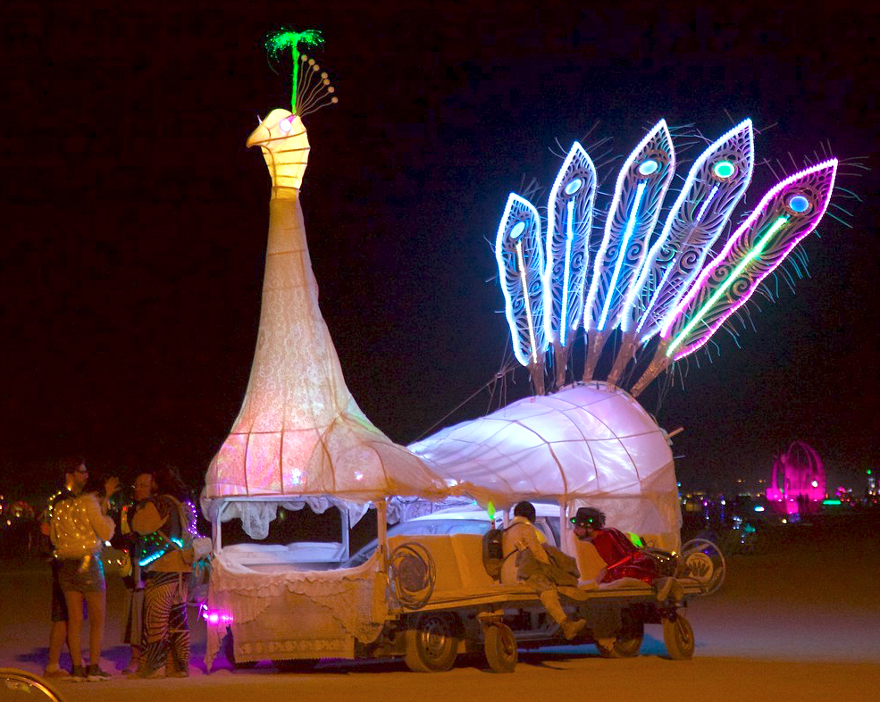 Eileen, The Pearl Peacock, Rainbows and Dragons Camp 2026