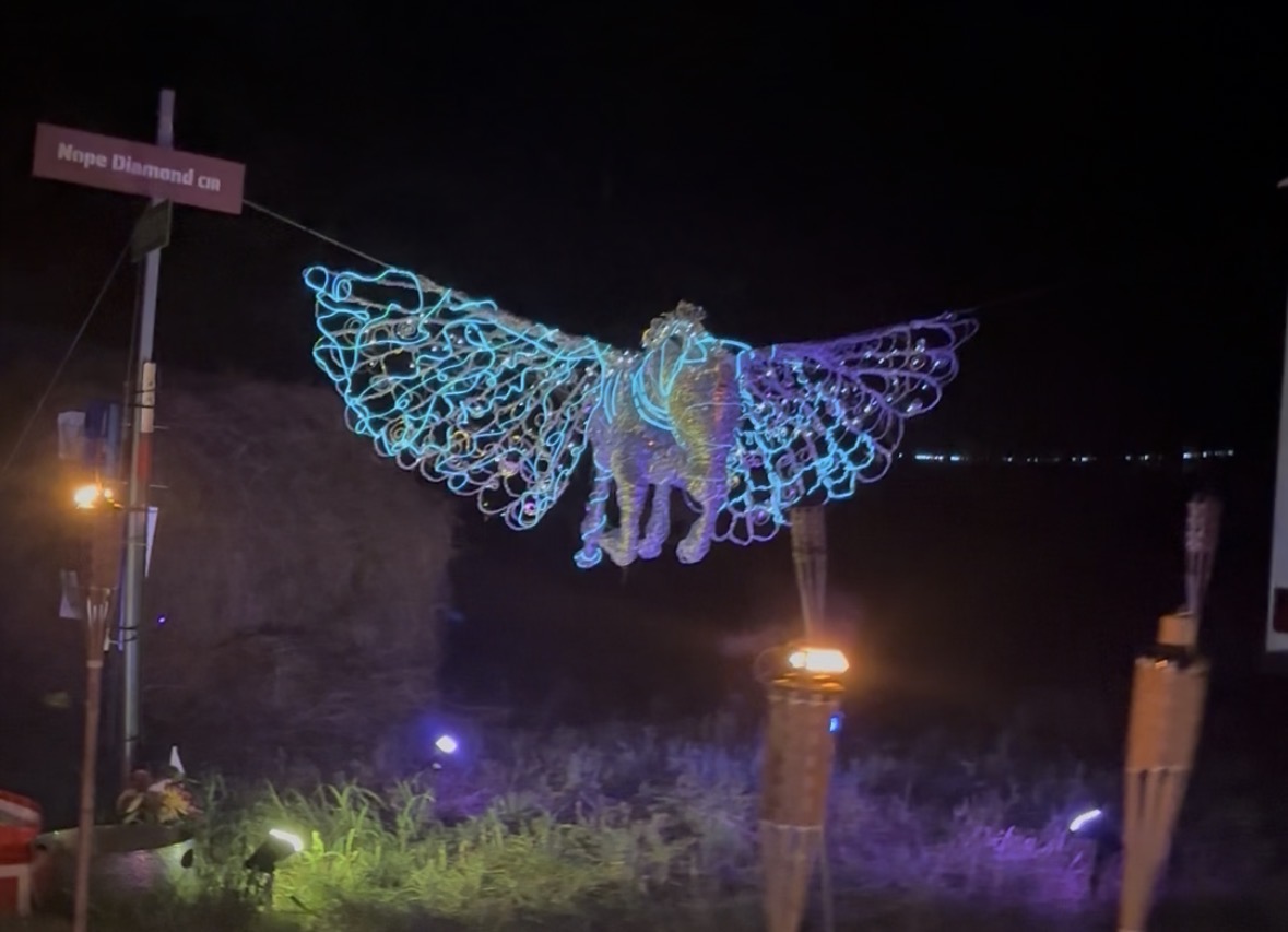 Flying Pegasus, Flying Pegasus by Sarah Vick & Patches 2026