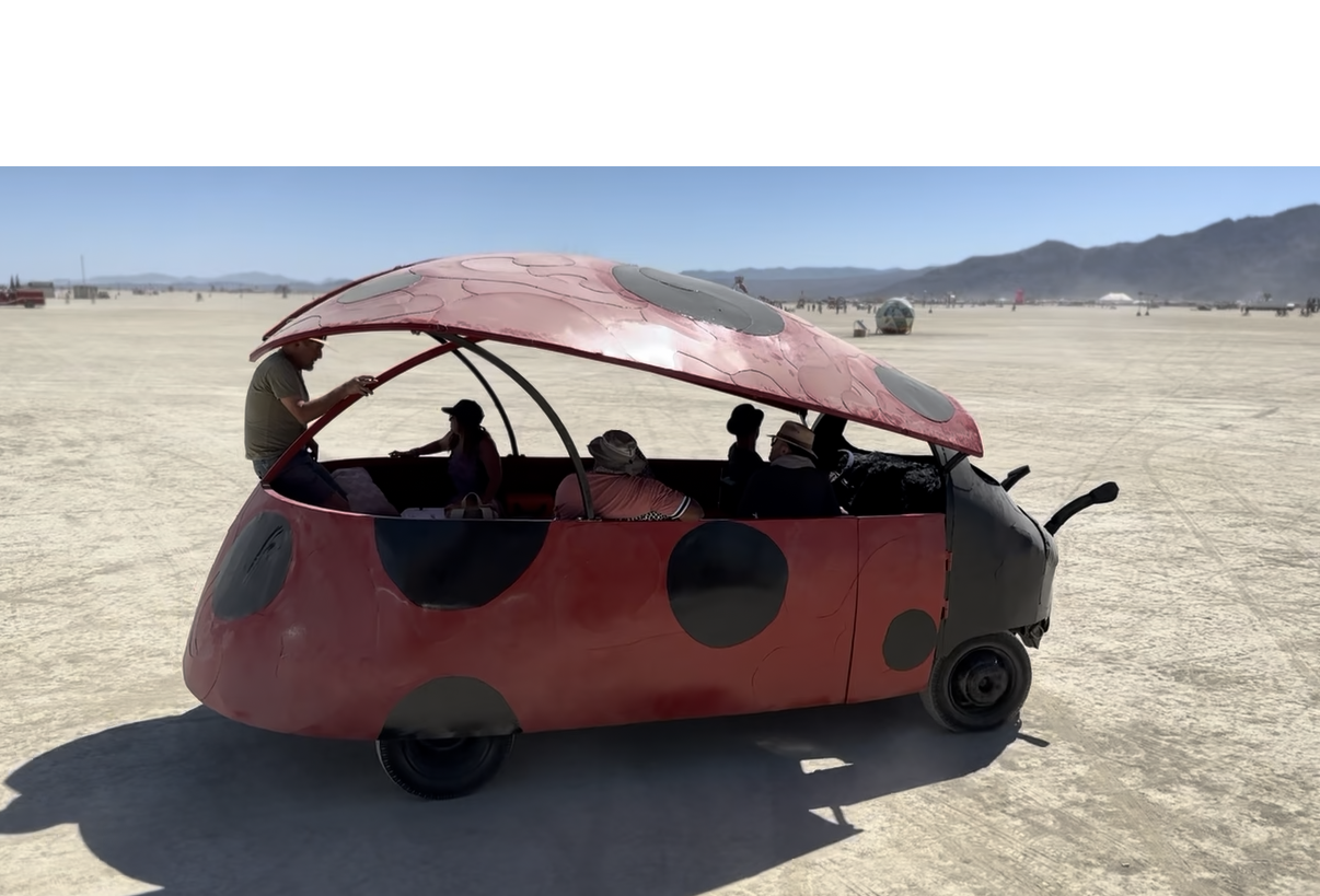 Boy Lady Bug, Boy Lady Bug by Kevin Clark 2026
