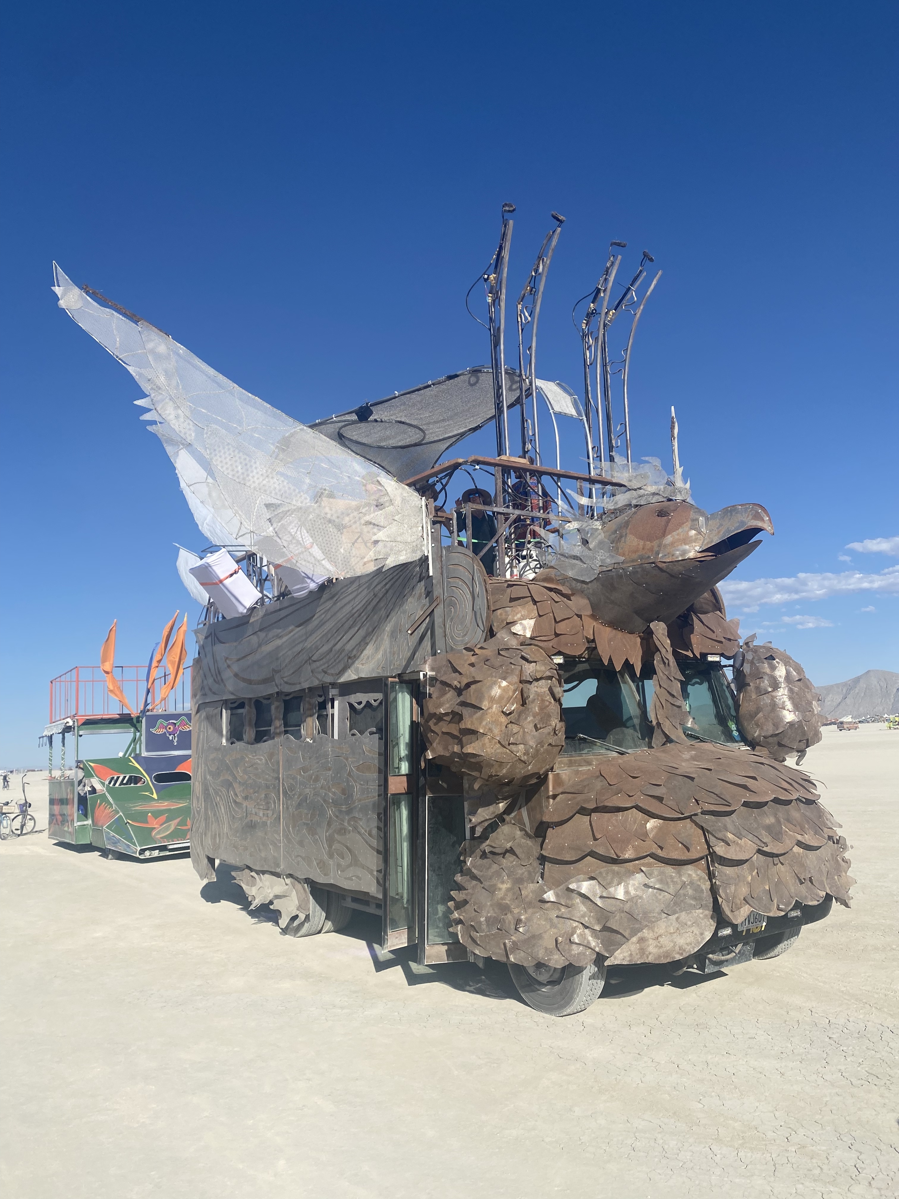 Arabella, Flamboyant ornithological society 2026